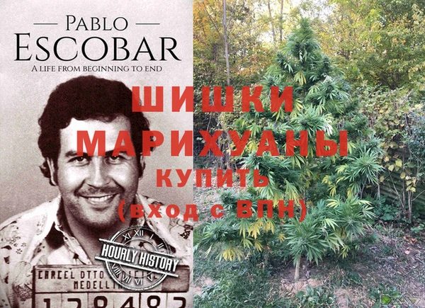 гидропоника Алексеевка