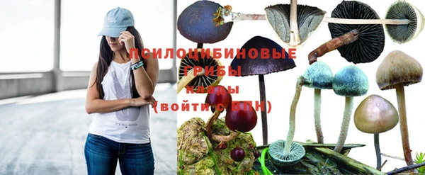 а пвп мука Алексин