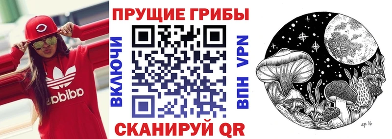 даркнет сайт  Курганинск  Галлюциногенные грибы Magic Shrooms 
