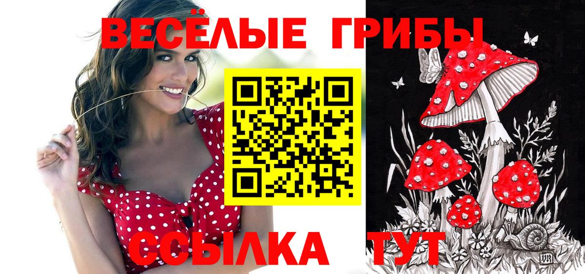 Меф  Курганинск  LSD-25  COCAIN  МЕФ кристаллы  ГАШ  КЕТАМИН  Вход с VPN  ГАШ  Каннабис 